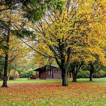 Pinecroft Lodges Ingleton  Exterior foto